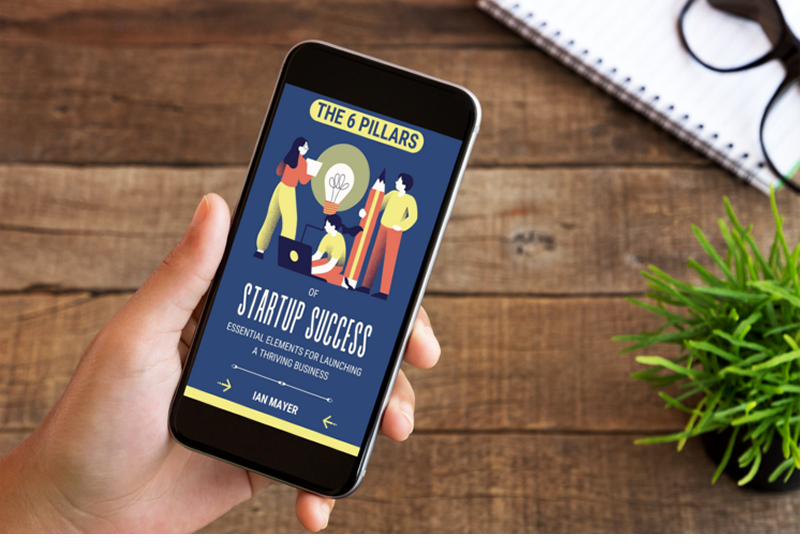 The 6 Pillars of Startup Success book cover